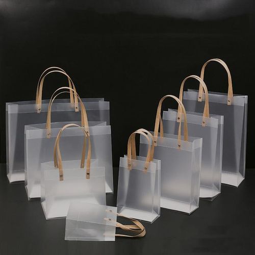 Transparent 3-in-1 Bag